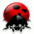 Big Ladybug